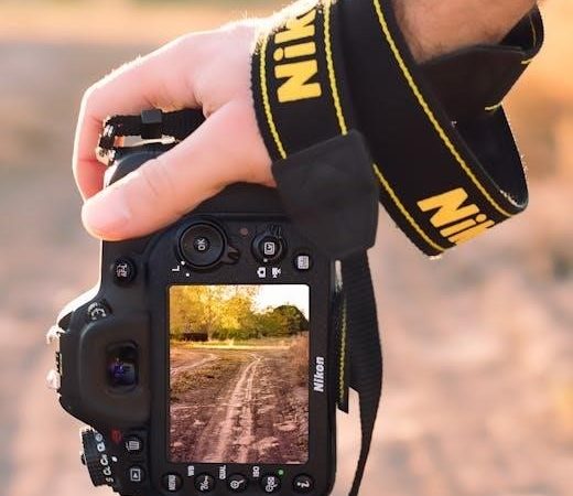 nikon d3300 dslr manual