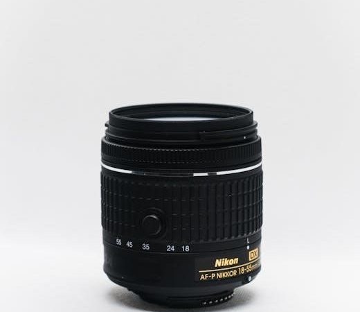 nikon d3300 dslr manual